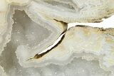 Agatized Fossil Coral Geode With Sparkly Quartz - Florida #271622-1